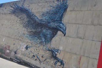Dunedin Street Art